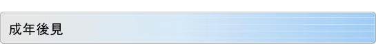 成年後見