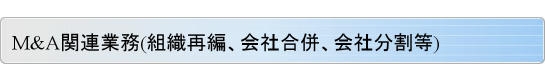 M&A関連業務(組織再編、会社合併、会社分割等)